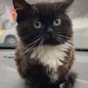 VSKLNB