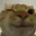 FyZzZen