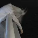 EvansOFF