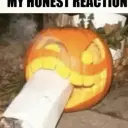 animeeeeescshnik