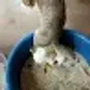 123123123_inactive8009239