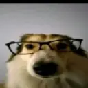 Nixxxxxi