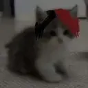 ne_everey_0