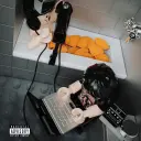ayduckmadethis