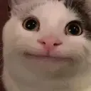 Шимору