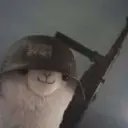 SALEHNUMBER1
