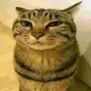 F9L69