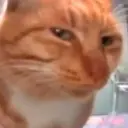 viprosser
