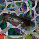 aer3r5