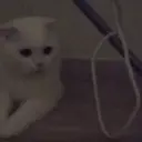 QweexOfficial