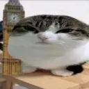 сабзиро