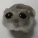 2456634563