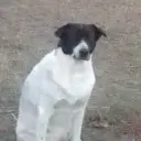 20023003