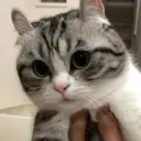 КомаруБро