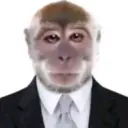 РакомМакаку