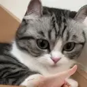 НЕПОН_неактив8133937