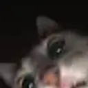 cxrkybtw
