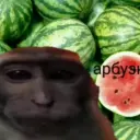 andreynikol