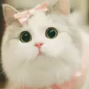 fjashjfk