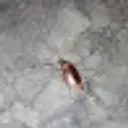 Kaizerr