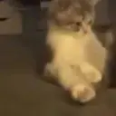 C00CHIEMANE