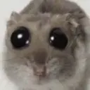 молочныйзубик