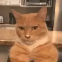kaboombabe