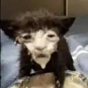 QulifERORR