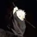 nikich69