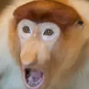 Lolz profile picture for @Viet
