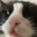 id368174345