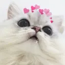 Lolz profile picture for @Horoscope