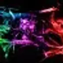 Lolz profile picture for @Lae