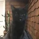 simulati0n