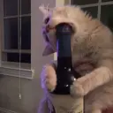 КкОоТтЯРА