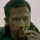 пендехо