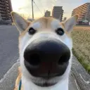 id708380543