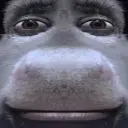 chichaas