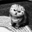 minbez