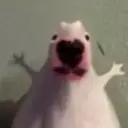 luxerqez
