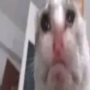 Катях