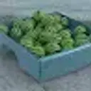 pisunchiq