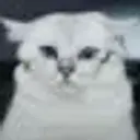Lolz profile picture for @Crowbar
