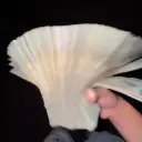 zabrio