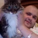 Кои
