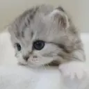 Loveismyself