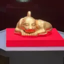 wangyukun