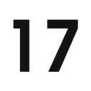 TheSEVENTEEN