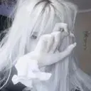 b0rov