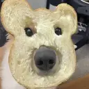 NeverReedit